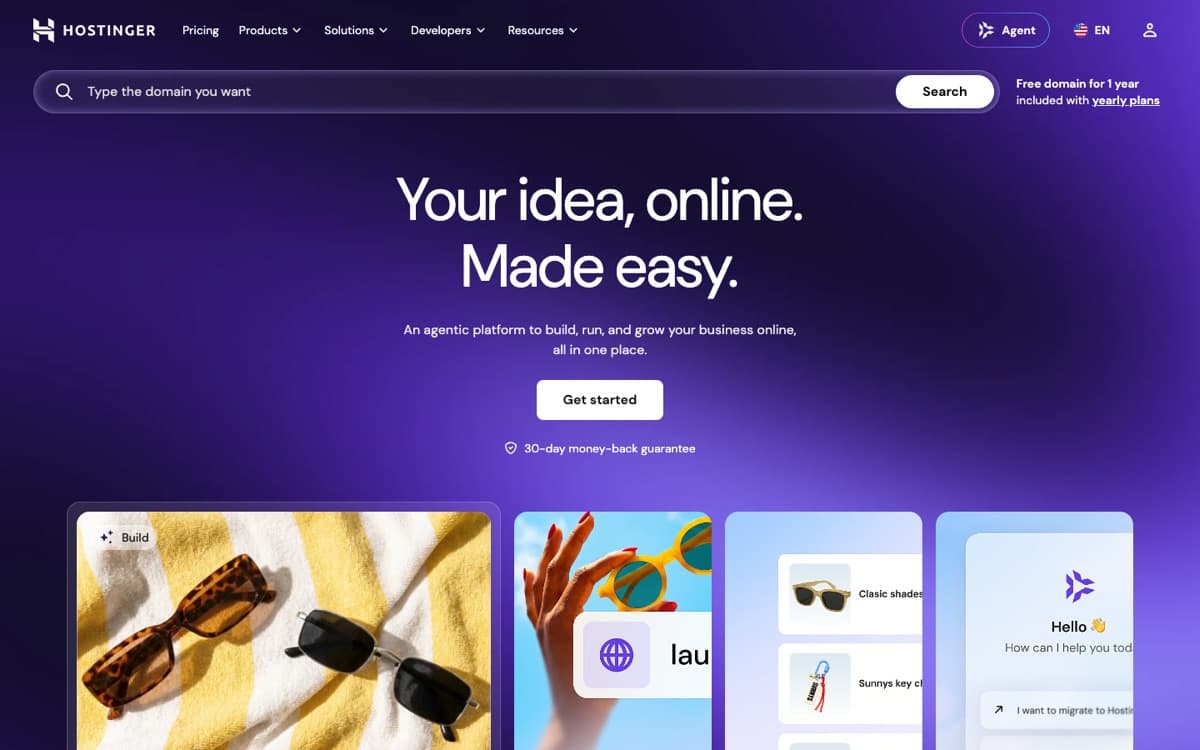 Hostinger website